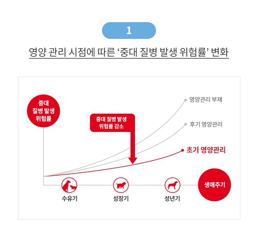 로얄캐닌 독 미니 스타터무스 캔 1박스 (195G X 12개입) 이미지 6