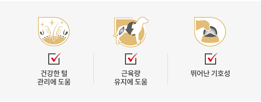 로얄캐닌 견종별 습식 푸들, 85g, 12개 - 상세 이미지 4
