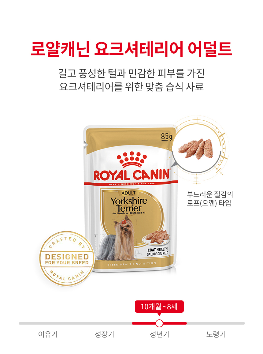 로얄캐닌 견종별 습식 요크셔테리어, 85g, 12개 - 상세 이미지 3