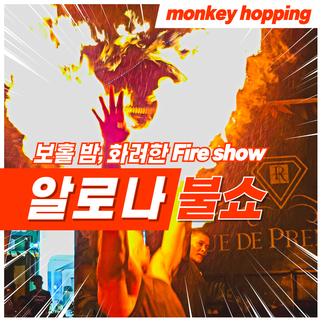 보홀 불쇼 알로나 광장 좌석 예약 대행 (음료포함) - 상품 이미지