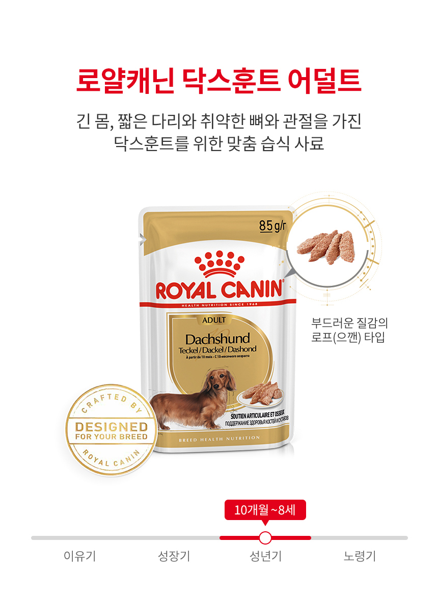 [유통기한 2027.02.19] 로얄캐닌 견종별 습식 닥스훈트, 85g, 12개