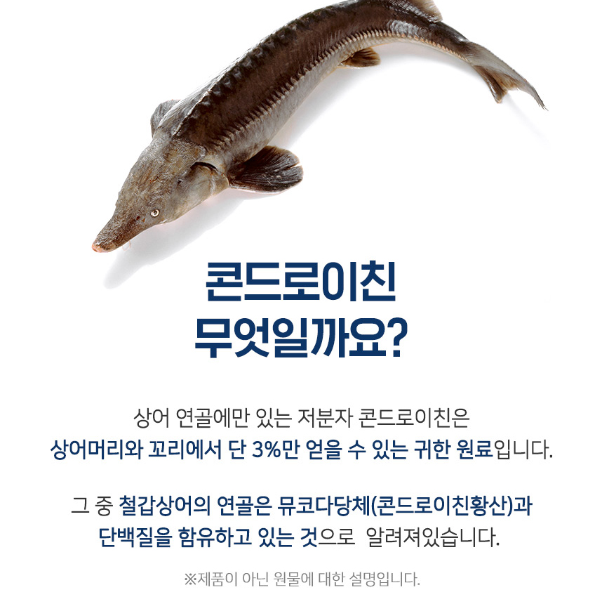 콘드로이친 1200 철갑상어 콘드로이틴 연골 콜라겐 뮤코다당 단백 연어코연골 추출분말 정 - 상세 이미지 4