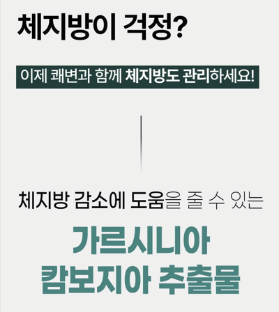 2+1 락토테미 쾌변포유 차전자피 식이섬유 분말 가루 배변활동 체지방 감소 - 상세 이미지 3