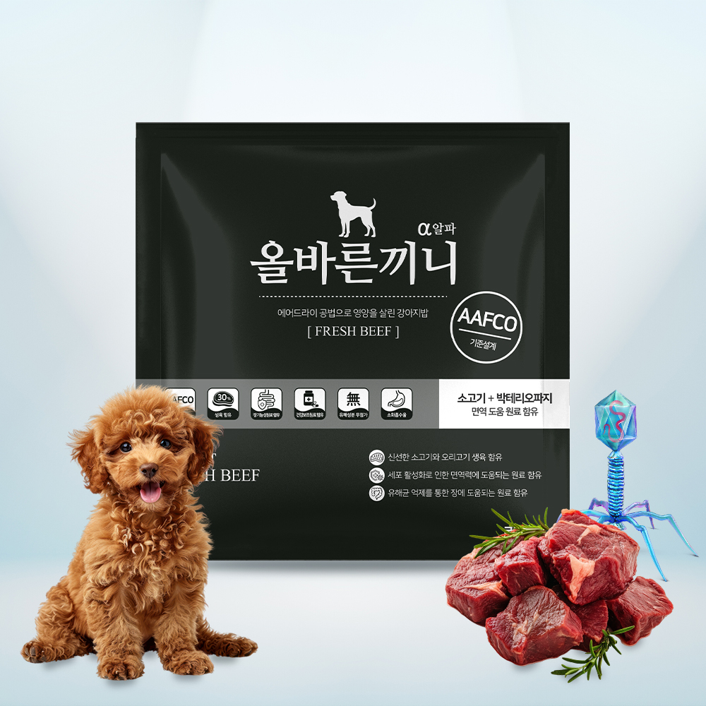올바른끼니 알파 소고기 면역 장 건강 50g 맛보기 강아지사료