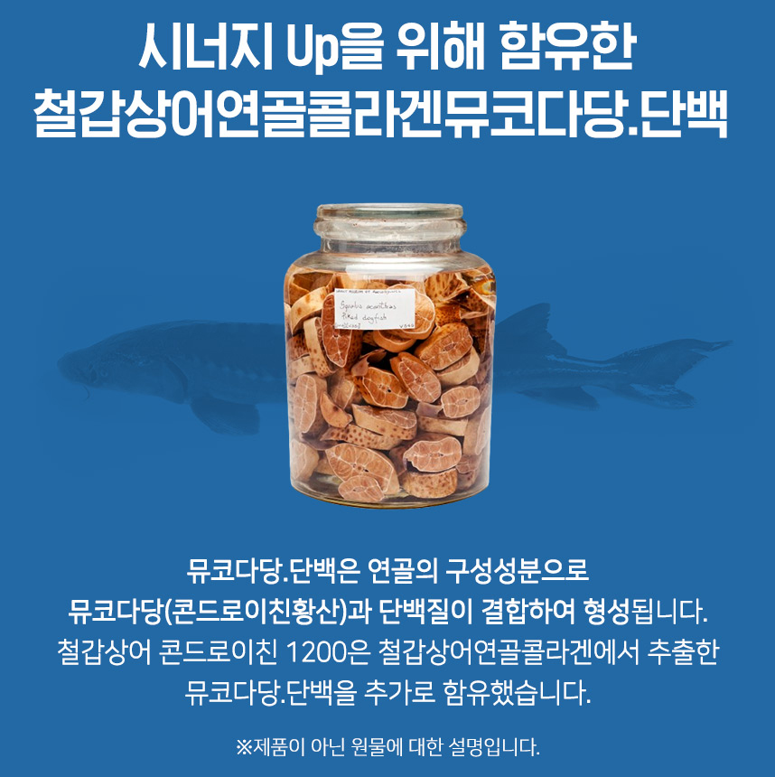 콘드로이친 1200 철갑상어 콘드로이틴 연골 콜라겐 뮤코다당 단백 연어코연골 추출분말 정 - 상세 이미지 3