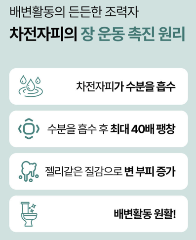 2+1 락토테미 쾌변포유 차전자피 식이섬유 분말 가루 배변활동 체지방 감소 - 상세 이미지 2
