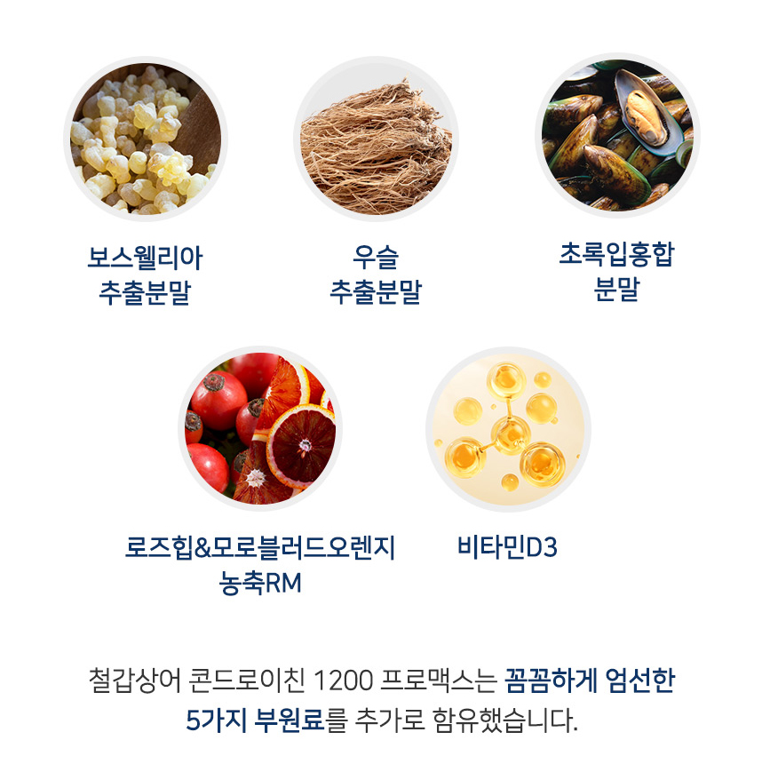콘드로이친 1200 철갑상어 콘드로이틴 연골 콜라겐 뮤코다당 단백 연어코연골 추출분말 정 이미지 6
