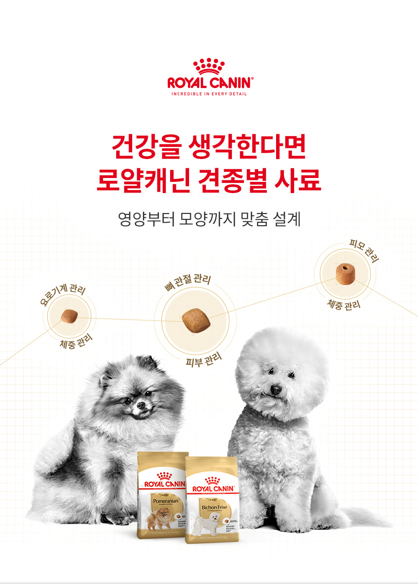 로얄캐닌 견종별 습식 푸들, 85g, 12개 - 상세 이미지 2