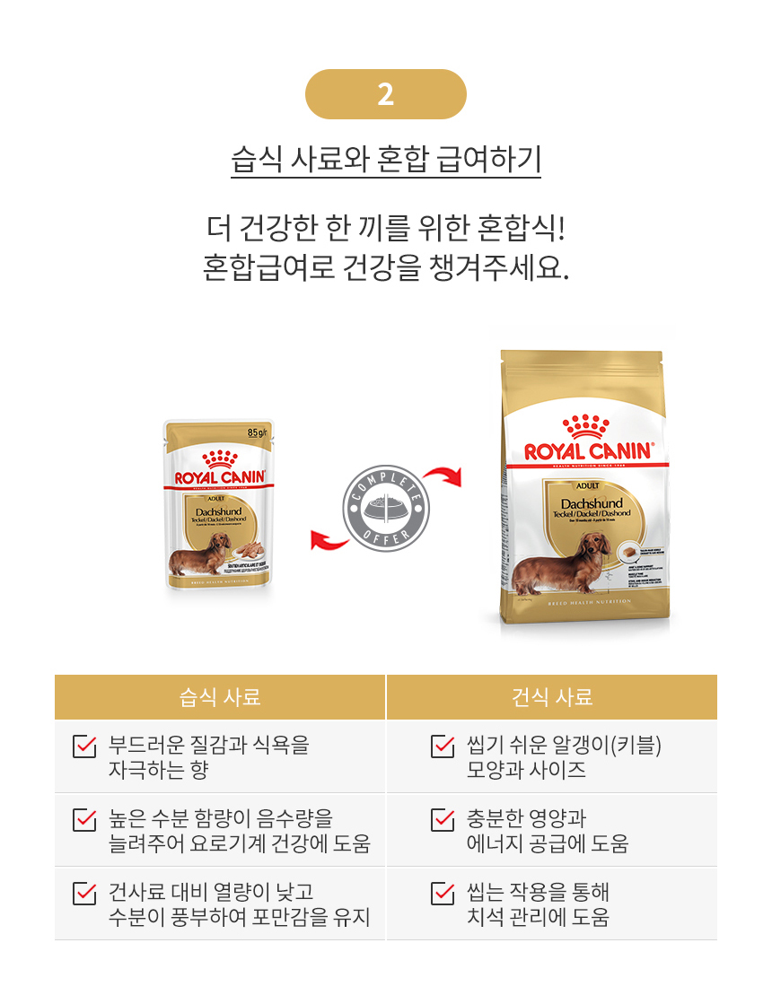 [유통기한 2027.02.19] 로얄캐닌 견종별 습식 닥스훈트, 85g, 12개