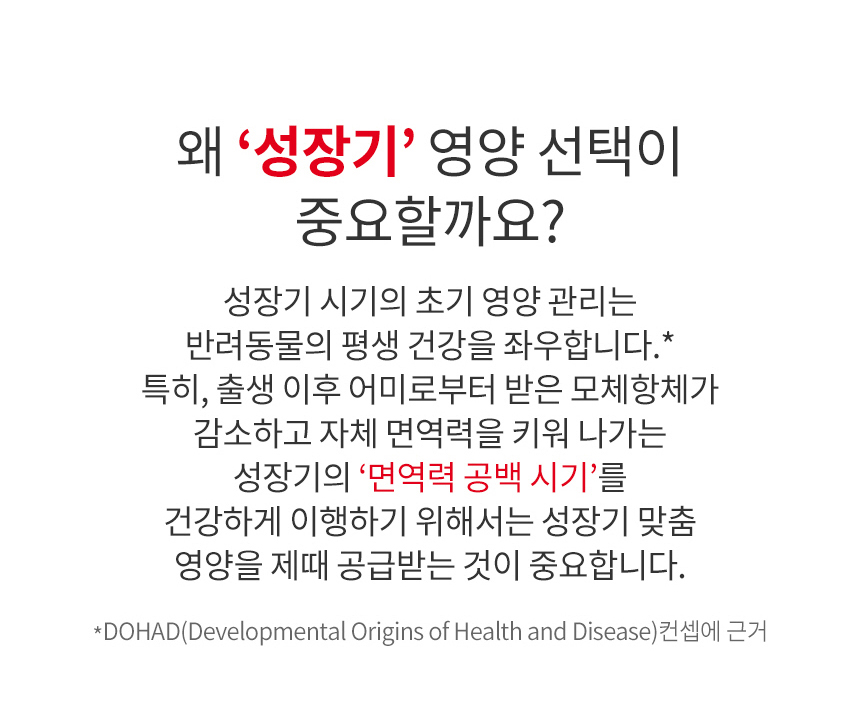 로얄캐닌 독 미니 스타터무스 캔 1박스 (195G X 12개입) - 상세 이미지 5