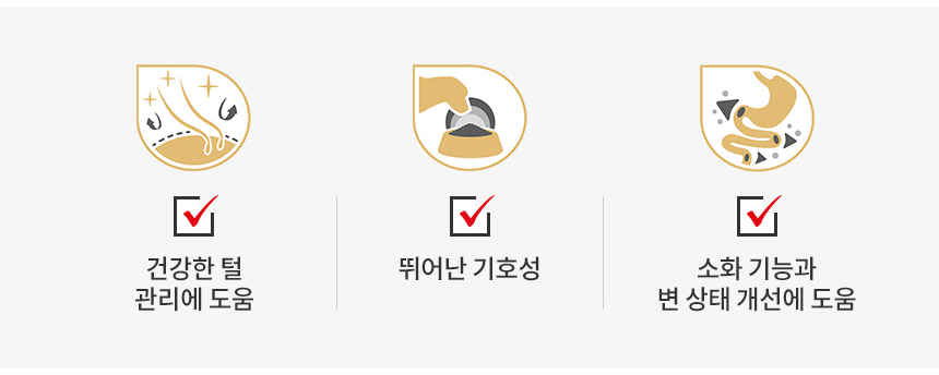 로얄캐닌 견종별 습식 요크셔테리어, 85g, 12개 - 상세 이미지 4