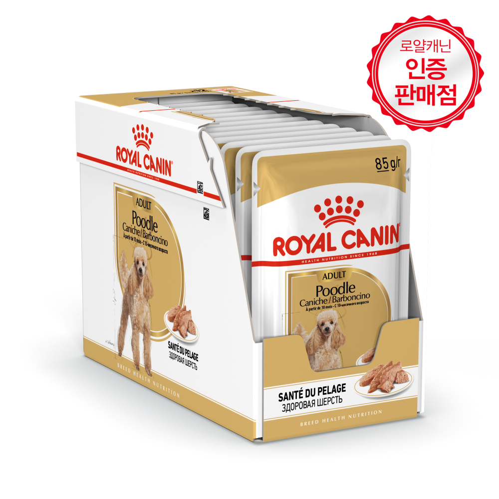 로얄캐닌 견종별 습식 푸들, 85g, 12개