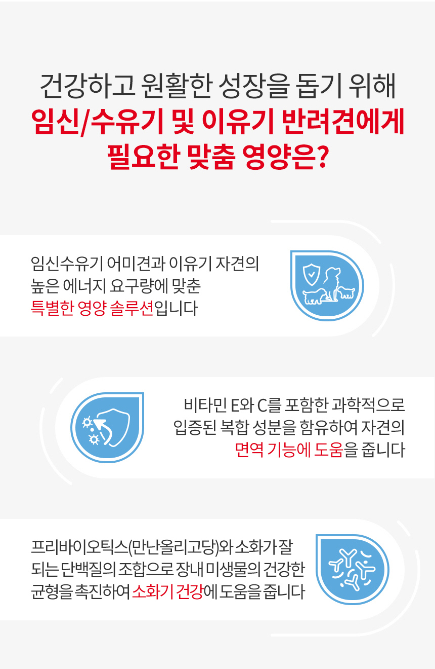 로얄캐닌 독 미니 스타터무스 캔 1박스 (195G X 12개입) 이미지 8