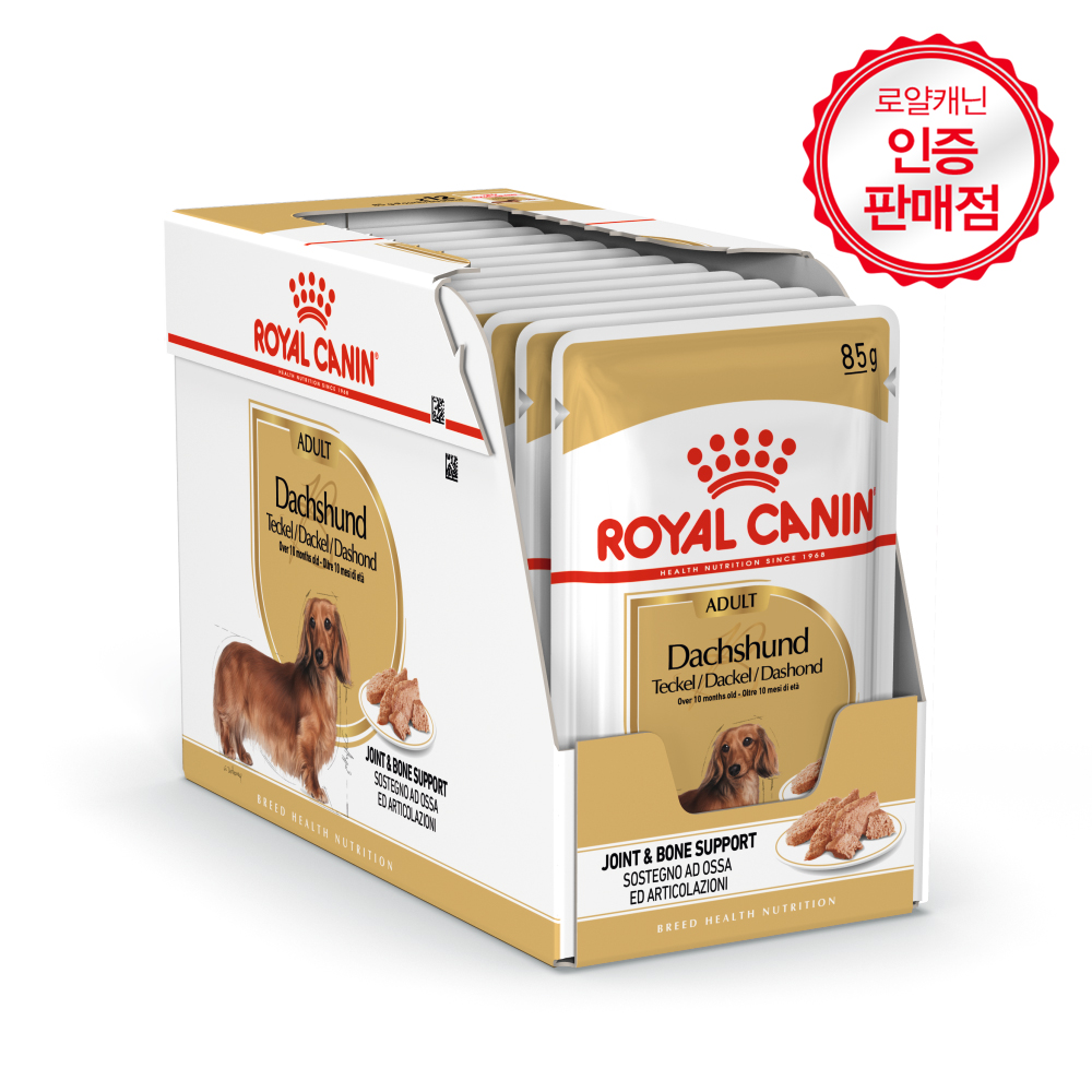로얄캐닌 견종별 습식 닥스훈트, 85g, 12개