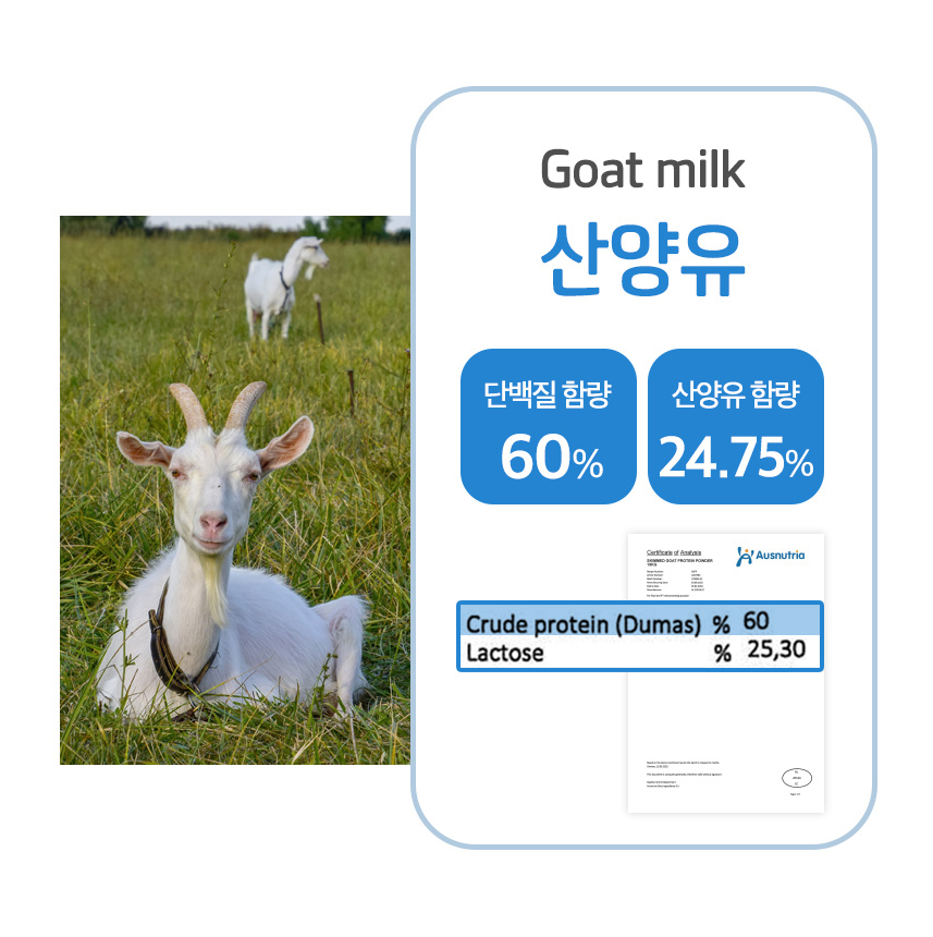 네덜란드 산양유 토탈 프로틴 파바빈 WPI WPC 분리 유청 단백질 분말 가루 900g - 상세 이미지 5