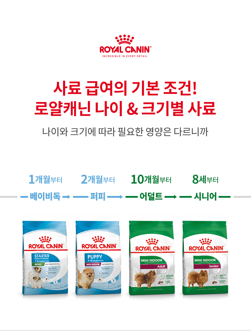 로얄캐닌 독 에듁 1박스 (50G X 30개입) - 상세 이미지 4