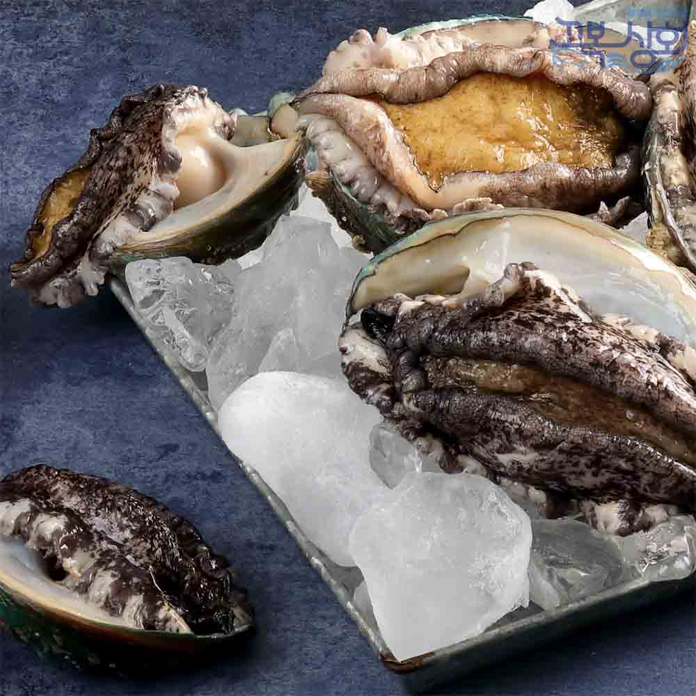 [꼬복상회] 완도 산지직송 활전복 1kg 사이즈별 다양 당일조업 왕특대 사이즈까지 선물용 - 상세 이미지 3