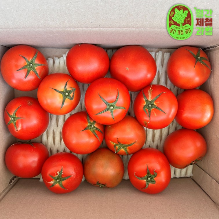 대저 토마토 흑대추 토마토 스테비아 방울토마토 완숙 대추토마토 대추토마토 구매팁