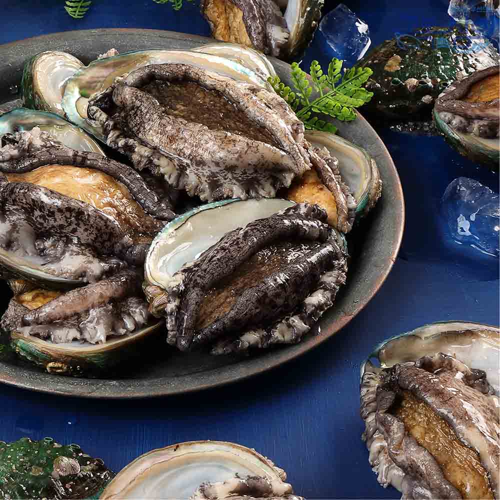 [꼬복상회] 완도 산지직송 활전복 1kg 사이즈별 다양 당일조업 왕특대 사이즈까지 선물용 - 상세 이미지 4