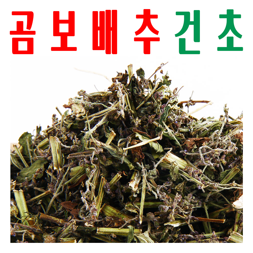 곰보배추건초/ 말린 곰보배추/ 지하 청정수 깨끗한 재배 배암차즈기/ 미산약초농장 - 상품 이미지