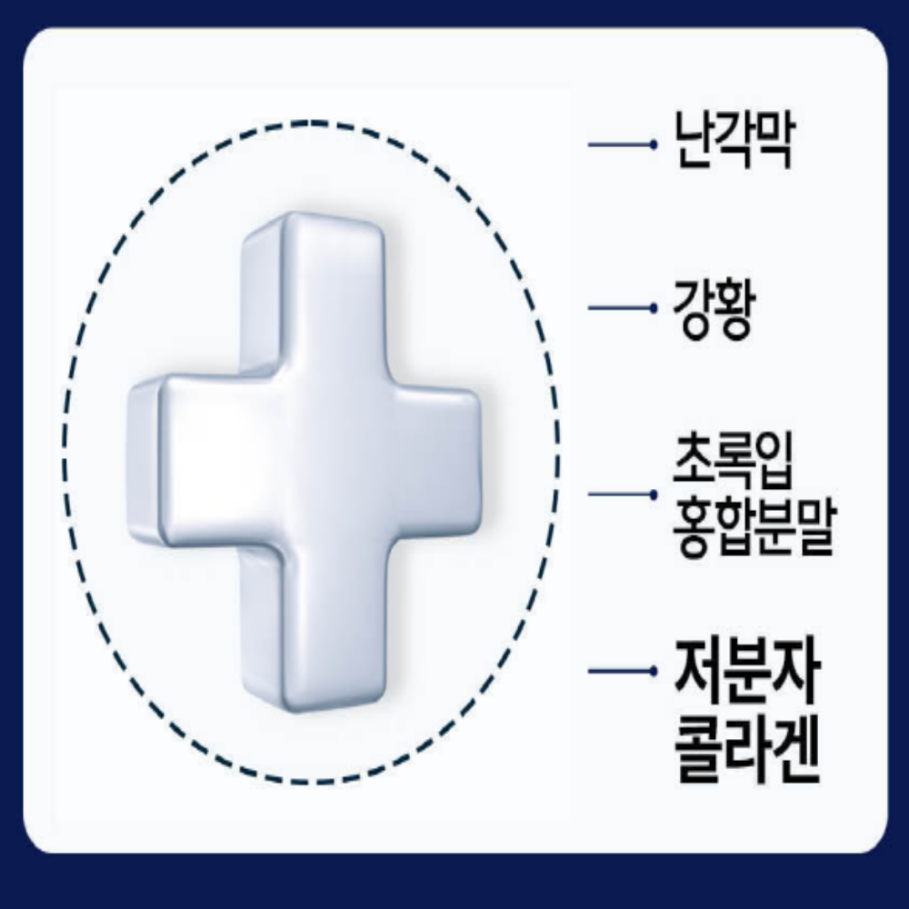 철갑상어 콘드로이친 1200 상어연골 뮤코다당 - 상세 이미지 4