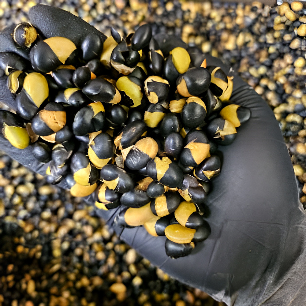 국산 볶은서리태 1kg 볶음 속청 검정콩 검은콩 뻥튀기 500g+500g