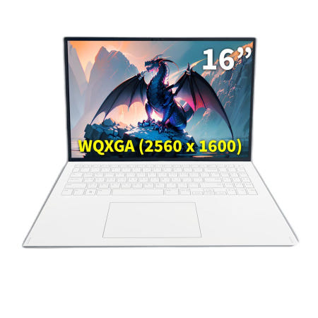 LG그램 프로360 16T90TP-GD79K (SSD2TB추가) 사은 제공 NT