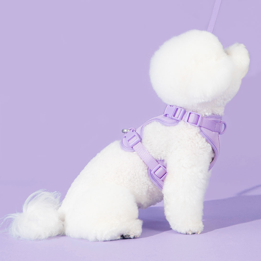 펫트리움 편안하네스 S 강아지 고양이 산책