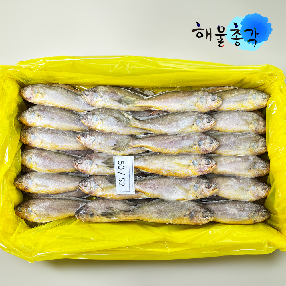 조기 참조기 조기구이 조림 매운탕 3.5kg, 52개 - 상세 이미지 2