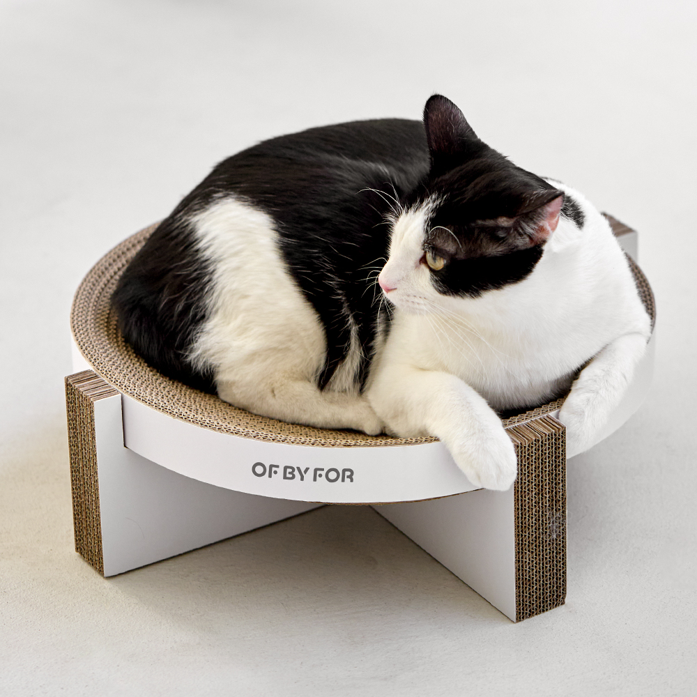 오브바이포 촘촘 스크래처 고양이 원형 대형 스크래쳐