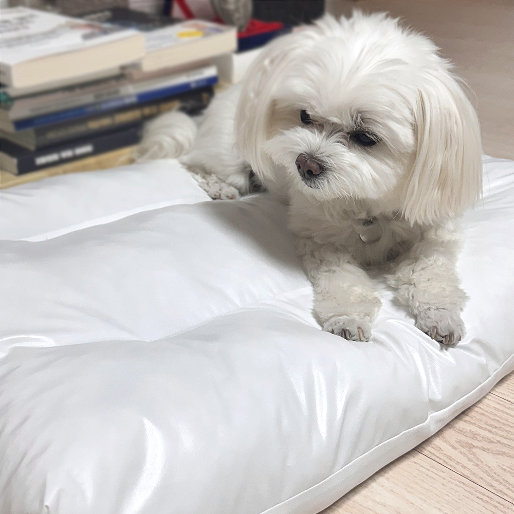 커버 분리 강아지 고양이 방수 펫 방석 관리하기 편한 프렌들리 강아지방석