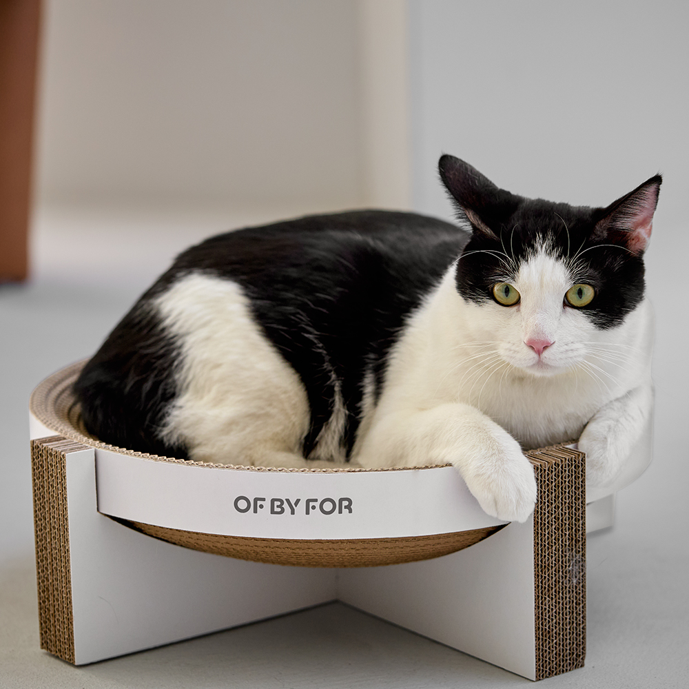 오브바이포 촘촘 스크래처 고양이 원형 대형 스크래쳐