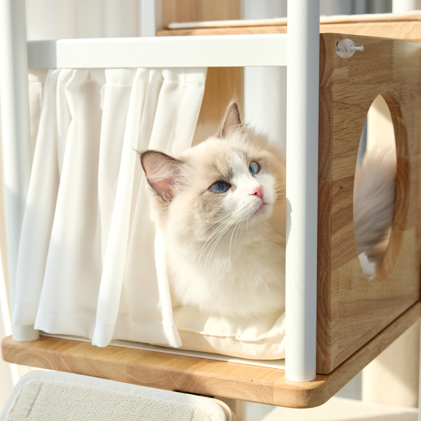 펫코본 보스턴6단 캣타워 원목 스틸프레임 고양이 캣폴
