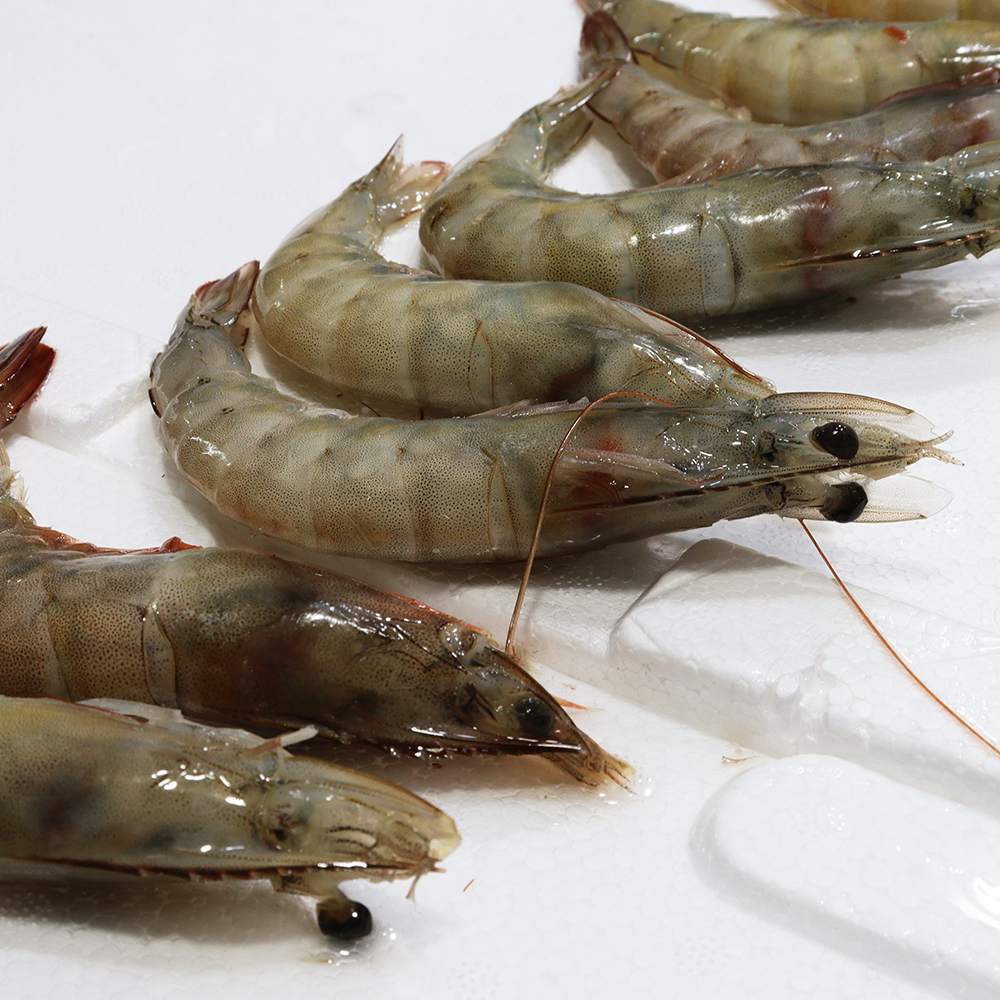 [서울시 일부 배달] 살이 알찬 새우 400g [수유재래 강북수산] : 동네시장 장보기