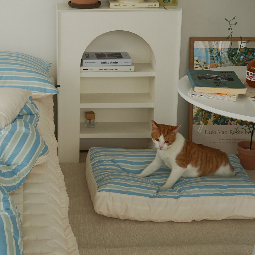 커버 분리 강아지 고양이 방수 펫 방석 관리하기 편한 프렌들리 강아지방석