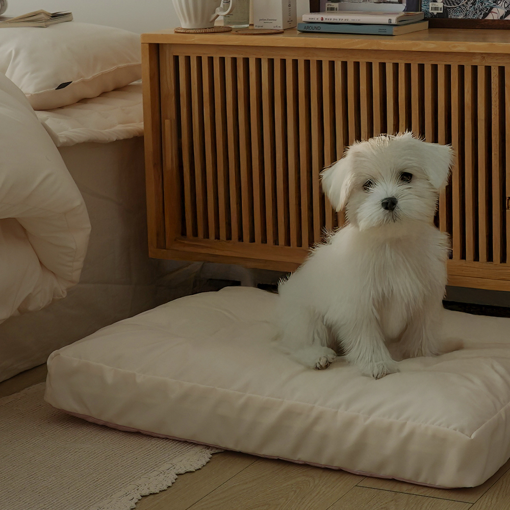 커버 분리 강아지 고양이 방수 펫 방석 관리하기 편한 프렌들리 강아지방석