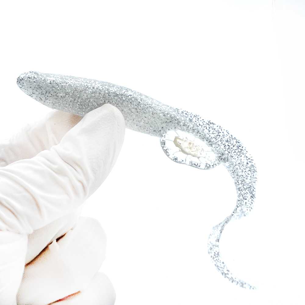 캣츠크로우 모비딕테일 광어웜 다운샷웜 004 실버, 12.7cm(5인치) - 메인 이미지