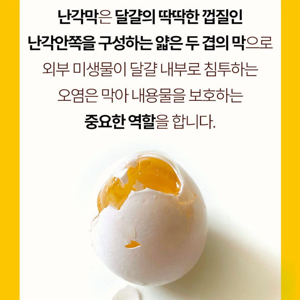 난각막 난각막 가수분해물 효능 구아검 난강막 저분자 콘드로이친 nag 60정 2개월 - 상세 이미지 3