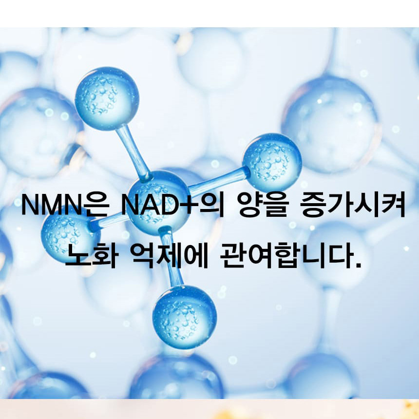 식물성 NMN 골드 효능 500mg x 30정 - 상세 이미지 5