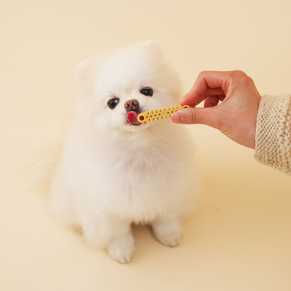 뉴트리오 티덴브러쉬 강아지 덴탈껌 50p + 50p