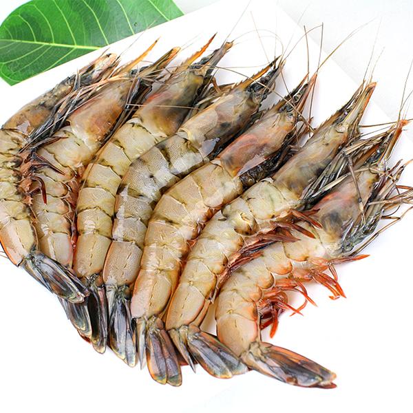 오씨푸드 자연산 대하(급냉)1kg(18미내외) : 피쉬세일