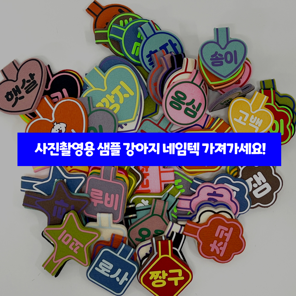 같은 이름 강아지 목걸이 네임텍 가져가세요!