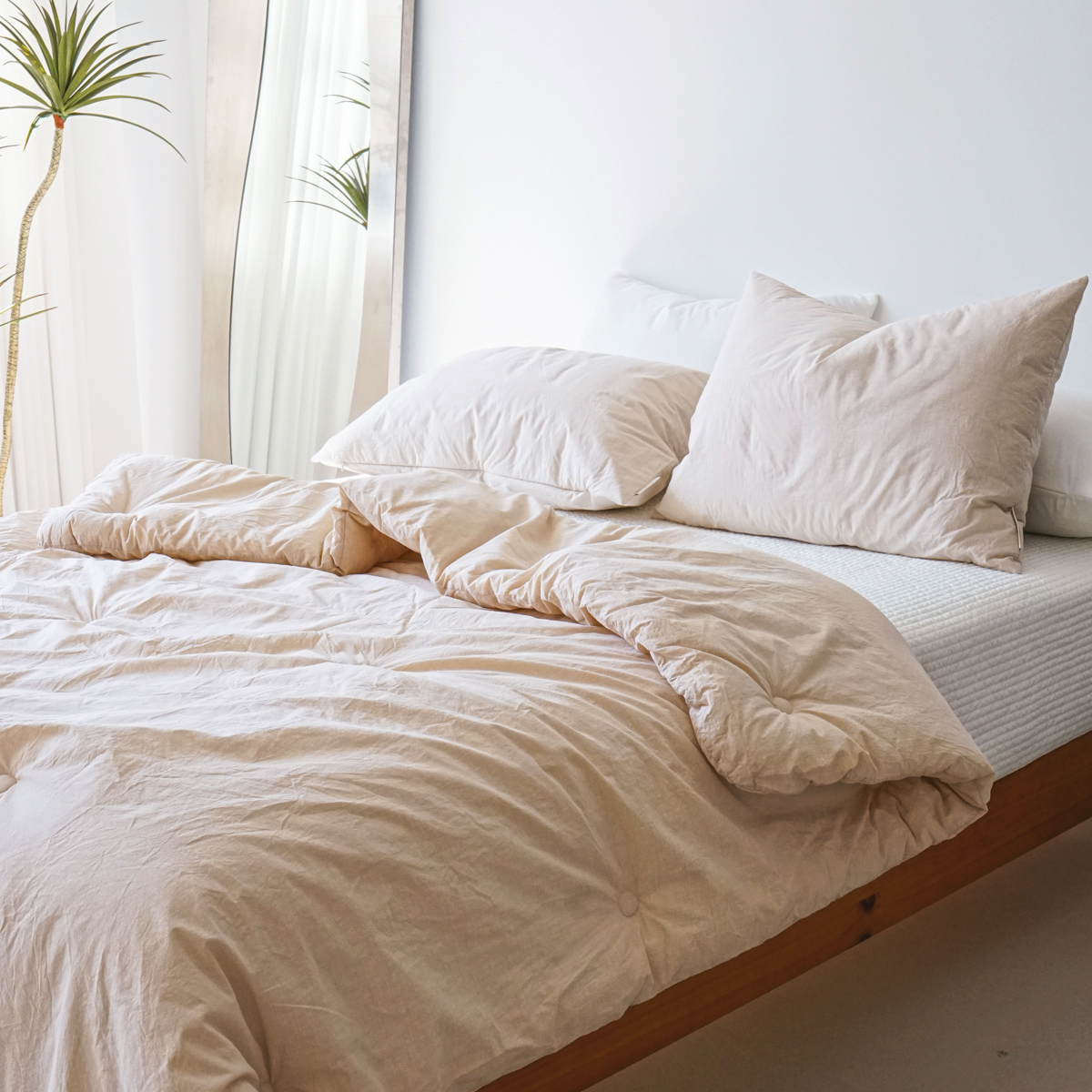 100수 소프트니스 고밀도면 알러지케어 침구 간절기 가을 이불 베이지, SS(슈퍼싱글)