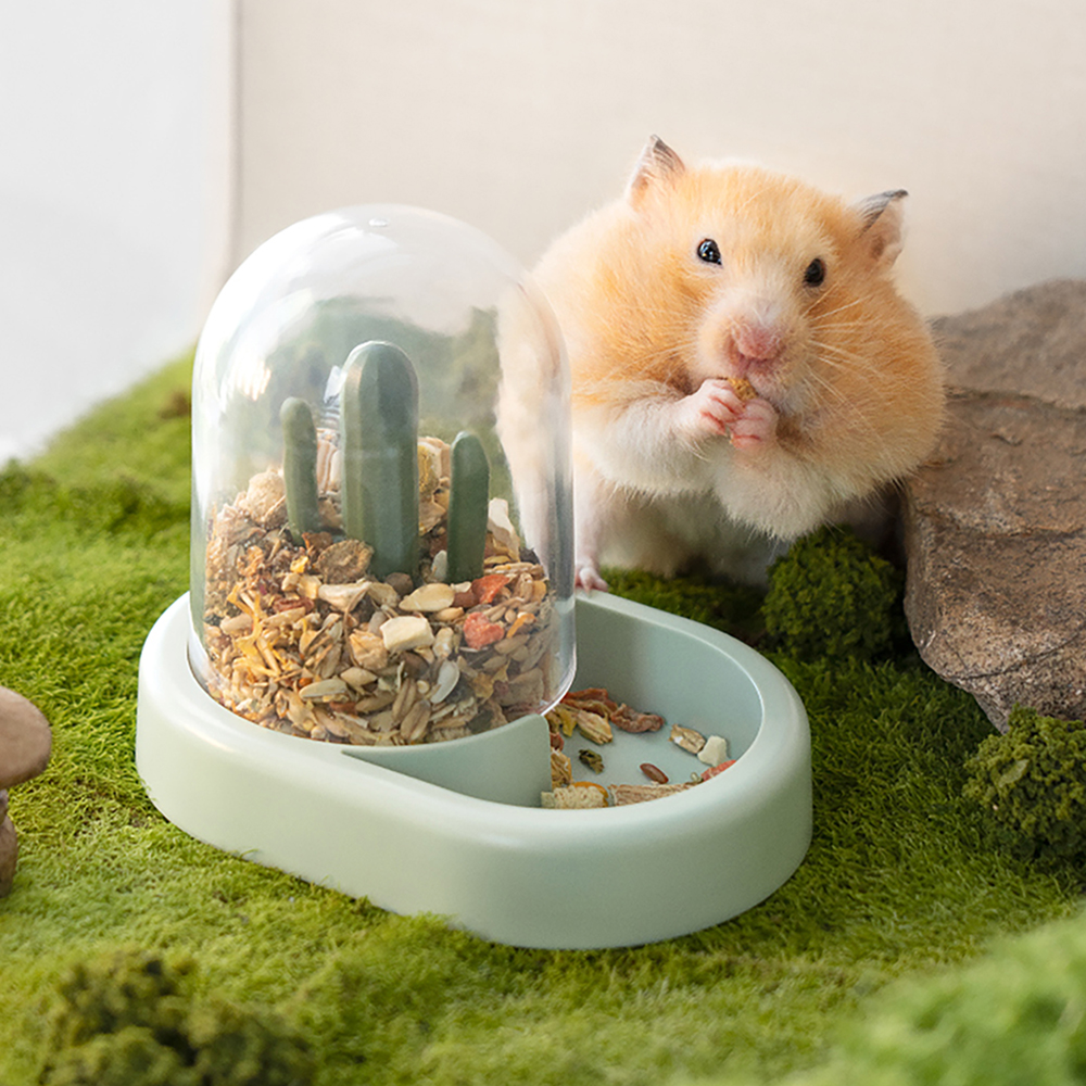 [감성 끝판왕] 햄스터 집 케이지 카페 숨숨집 은신처 꾸미기