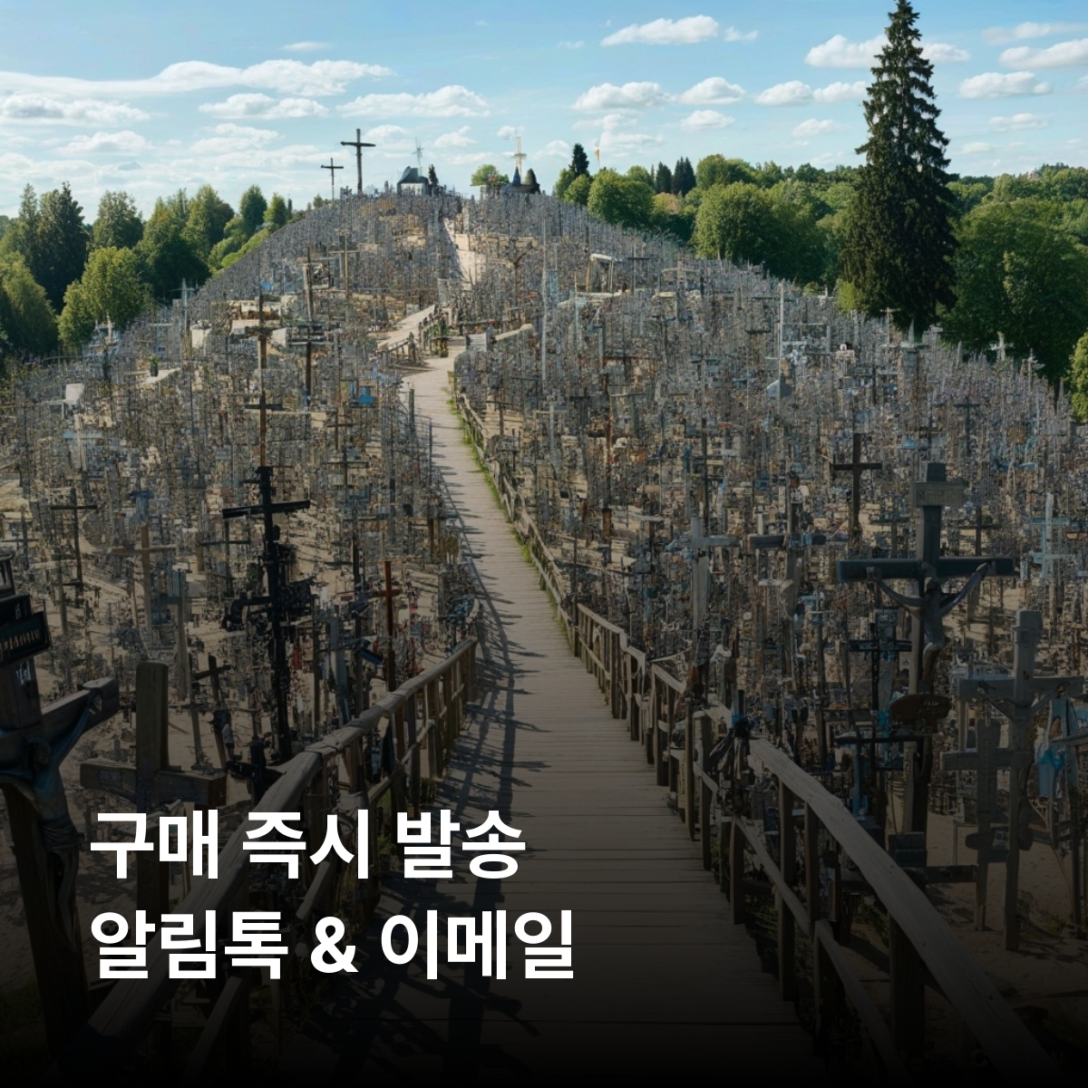 리투아니아 로컬망 이심 eSIM UAB tele 2, Telia 5G 빌뉴스 카우나스 클라이페다 트라카이 성 십자가 언덕 쿠르슈네리야 국립공원 이심통 - 상세 이미지 3