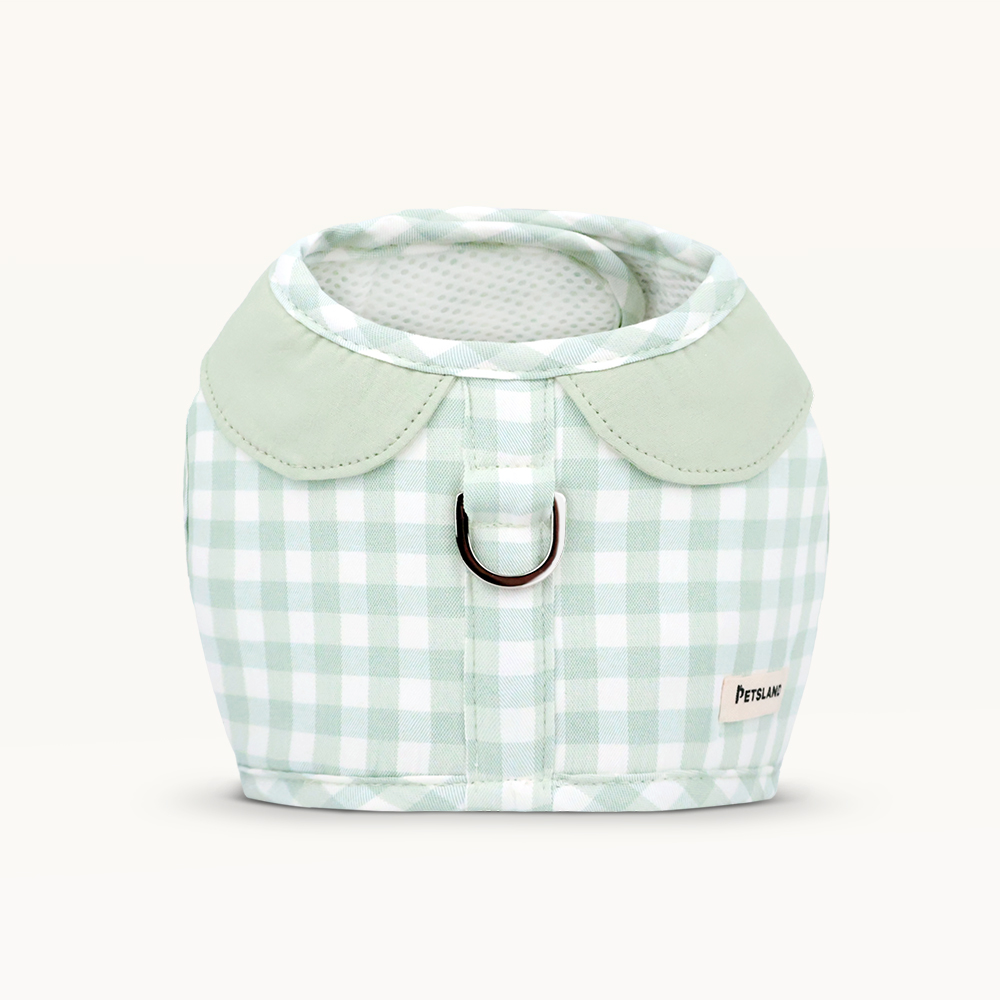 강아지 하네스 옷 소형견 애견 세트 오데트카라