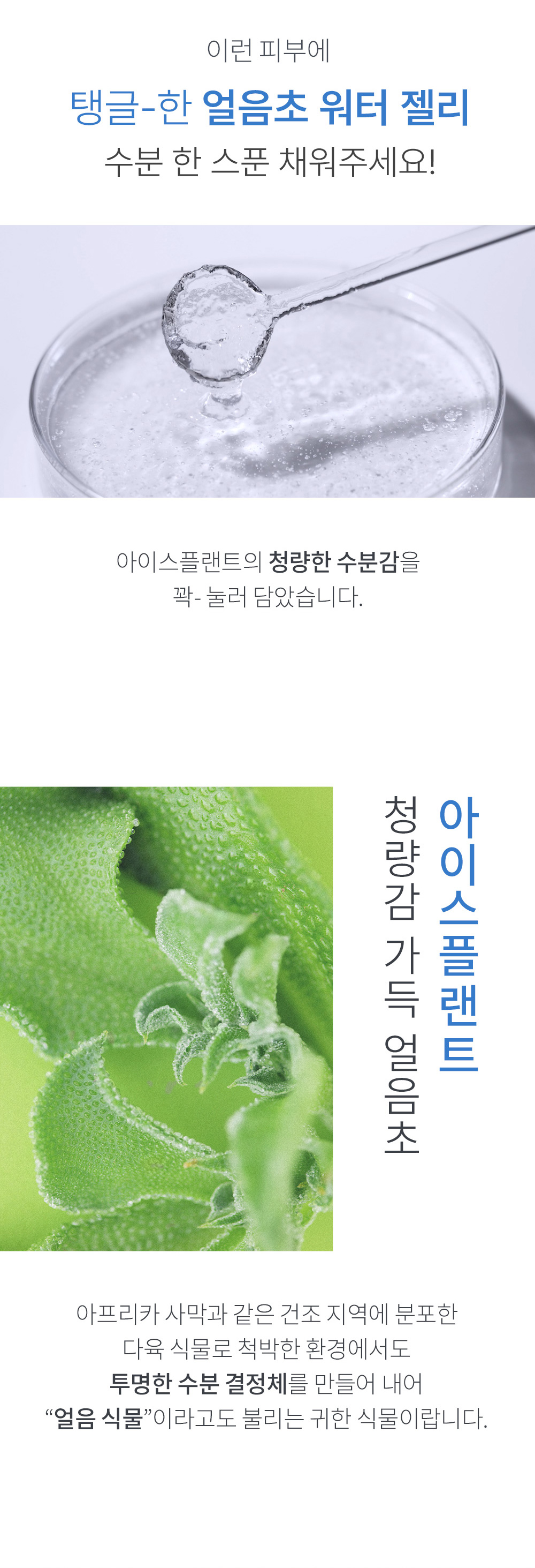 ampoule iceplant so natural k-beauty