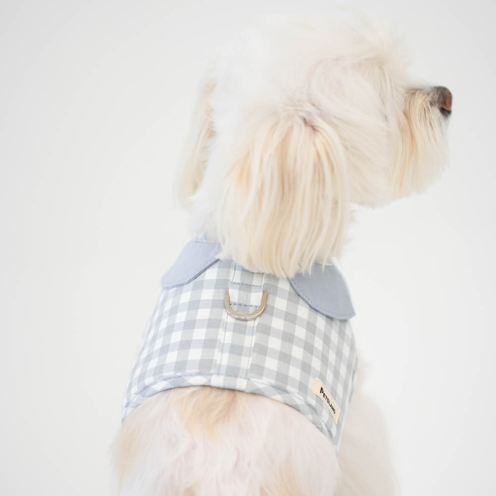 강아지 하네스 옷 소형견 애견 세트 오데트카라