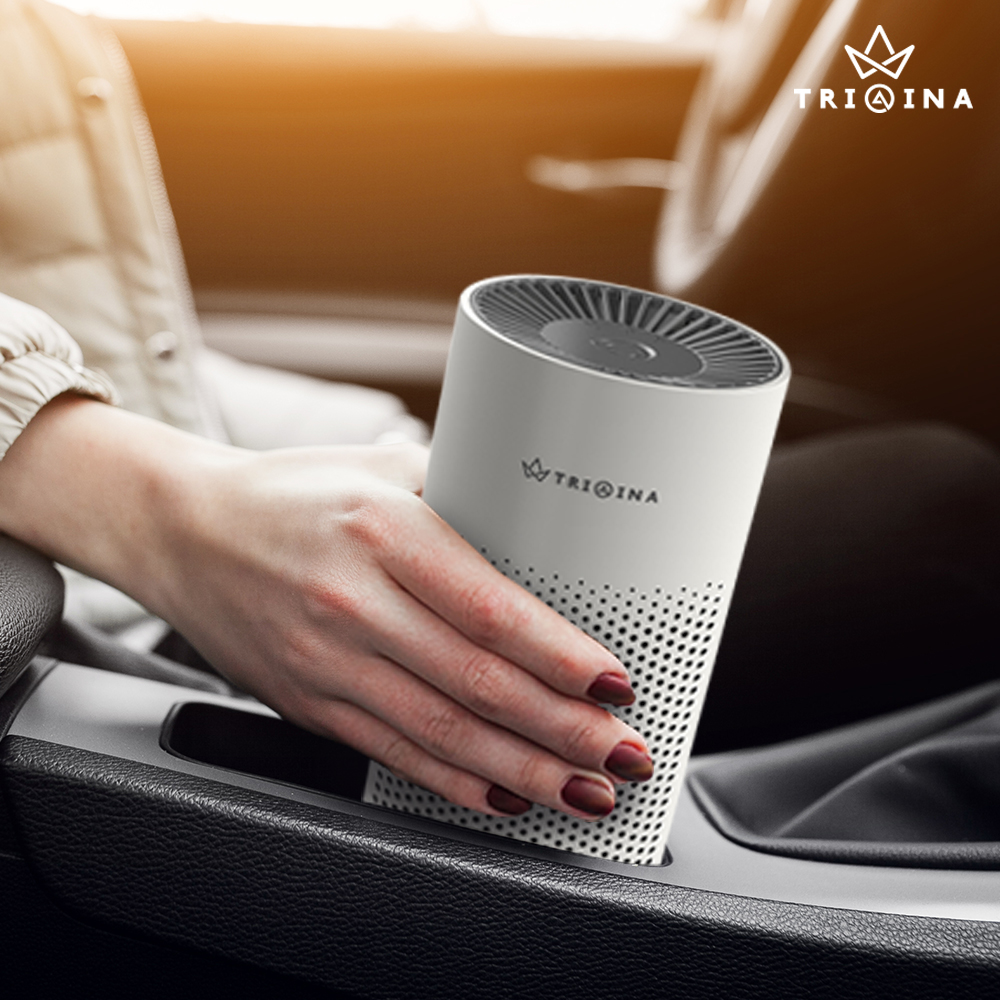 트리아이나 미니 공기청정기 TN-R22