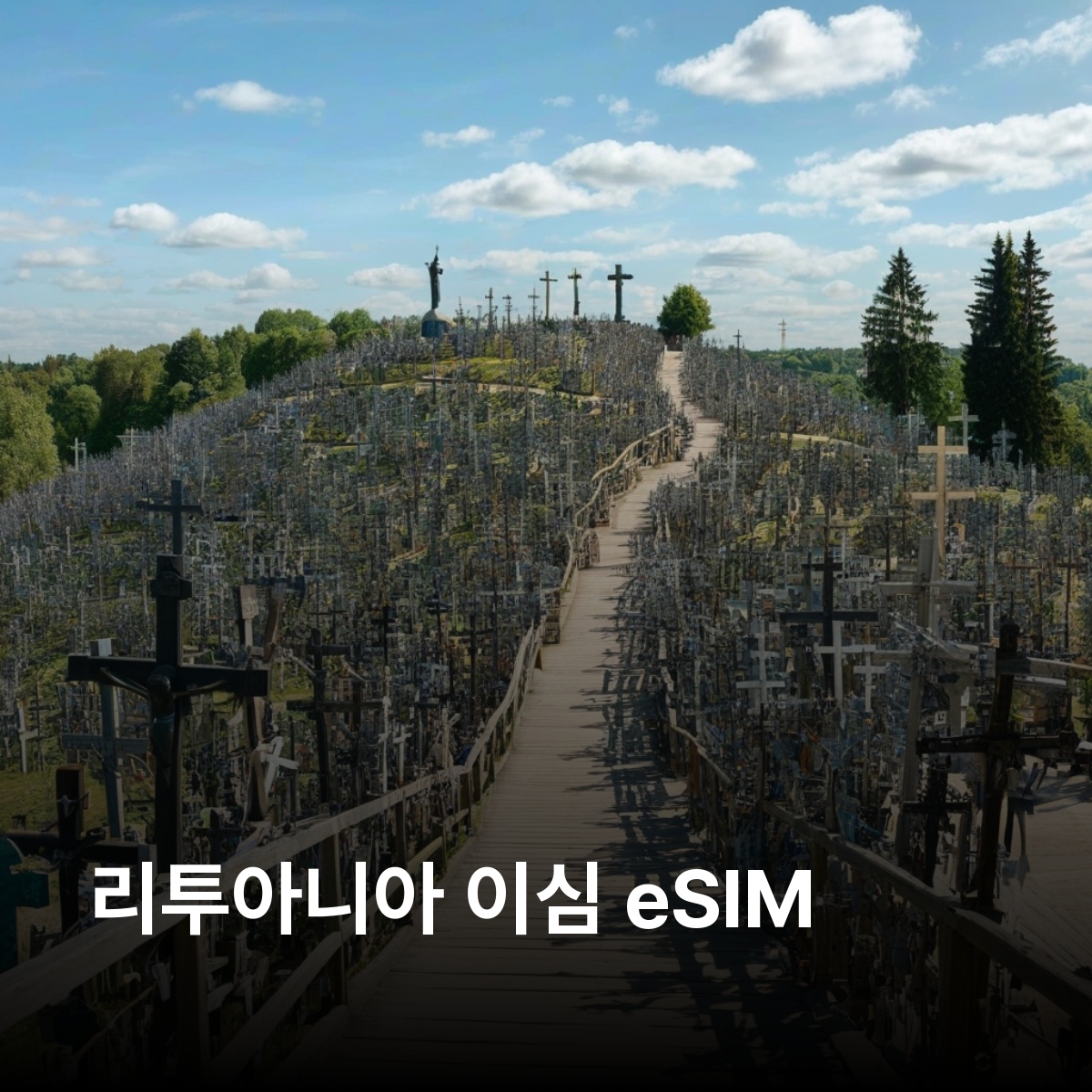 리투아니아 로컬망 이심 eSIM UAB tele 2, Telia 5G 빌뉴스 카우나스 클라이페다 트라카이 성 십자가 언덕 쿠르슈네리야 국립공원 이심통 - 상품 이미지